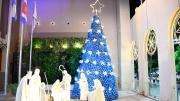 La Capital encenderá la iluminación ornamental de fin de año y el árbol de navidad ecológico este lunes