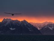 Esquivando icebergs y tormentas en busca de un punto de inflexión en el océano