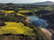Tragedia aérea en Francia: una avioneta se estrelló en los Pirineos y hay cuatro muertos