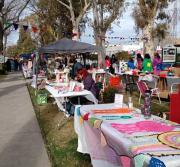 El Concejo Deliberante de Allen ratificó la regulación de ferias pese al veto del intendente