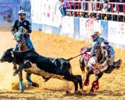 Mario Sánchez Pinto: De manga en manga