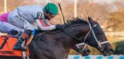 Flavien Prat a ritmo de igualar su récord de Stakes y Graded Stakes ganados en el 2024