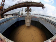 El Gobierno le baja las retenciones a la soja, maíz y trigo