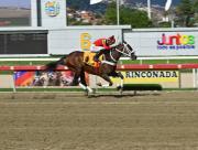 Gran Pepe buscará imponer su velocidad en la Copa “Ministerio de Relaciones Exteriores” este domingo