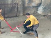 Está obsesionado con la comida: un oso negro atacó a su cuidador en pleno show y su reacción causó más sorpresa