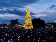 Este viernes se enciende el árbol de navidad en Punta Arenas