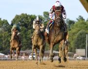 Thorpedo Anna ya conoce cuáles serán los primeros sementales que la montarán