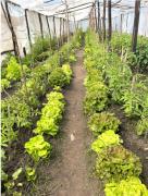 Director de la Cárcel de Cañitas Fue Reconocido