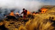 Puno refuerza alerta por riesgo de incendios forestales este 10 de diciembre