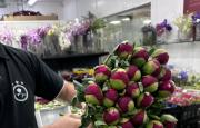 Hito para la industria chilena de flores: productores de Curicó concretan el primer envío de peonías a México
