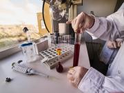 Cancelan el apoyo a la ciencia y ensombrecen el futuro del país