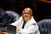 Interpelación a la Ministra de Defensa por Cardama /Culminó con el respaldo del oficialismo y criticas de la oposición