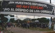 Despidos en Jujuy: trabajadores de Ingenio Ledesma denunciaron persecución sindical de Sadir