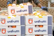 Unifrutti vuelve a salir de compras y adquiere por US$ 150 millones frutícola peruana de capitales chilenos