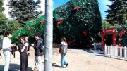 Árbol de Navidad en Coyhaique se desplomó en plena plaza de la ciudad