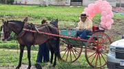 Un abuelo en sulki y una nieta recién graduada: la escena que hizo emocionar a Frías