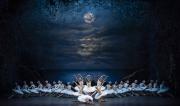 Teatro Municipal de Santiago anuncia “El Lago de los Cisnes” con miembros de la Ópera de París