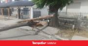 Postes caídos y guardias reforzadas por el temporal de viento