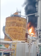 Incendio en planta de celulosa Licancel provocó alerta en zona costera de Curicó