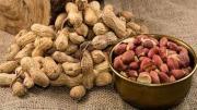 El maní tiene beneficios desconocidos y deberíamos comerlos habitualmente