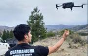 Ojos en el cielo: Neuquén consolidó su flota de 24 drones con cámaras térmicas y visión nocturna 