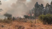 Senapred llamó a evacuar: Incendios forestales afectan comunas de las regiones Metropolitana y de O’Higgins