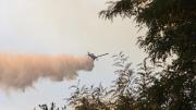 Incendio forestal en San Pedro ha consumido 450 hectáreas: Equipos de emergencia trabajan en el lugar