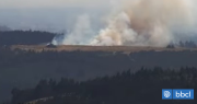 Piden evacuar tres sectores de la comuna de Santo Domingo por incendio forestal