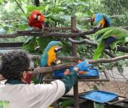 ZooAquarium de Valencia: 50 años fomentando la biodiversidad, conservación y educación ambiental (+Fotos)