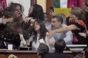 A los empujones y tirones de pelo: sesión de Diputados en México terminó en gresca masiva