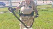 Apareció una boa constrictora en la ciudad de Córdoba