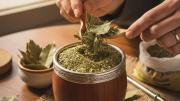 Mezclar yerba mate con laurel: por qué recomiendan hacerlo y para qué sirve
