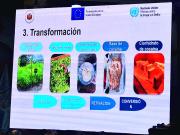 El Gobierno prepara cambios a la Ley General de la Coca por el cultivo ilegal en el Chapare