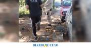 Recuperaron 47 aves protegidas y un auto con pedido de secuestro: hay tres detenidos