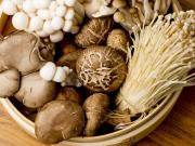 China desarrolló una proteína derivada de un hongo 1.000 veces más potente que la carne