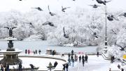 Cayó la primera gran nevada de la temporada en Nueva York y se convirtió en un paraíso invernal