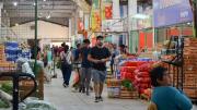Horarios especiales en el Mercado Concentrador de Neuquén: así funcionará la semana de Navidad y Año Nuevo