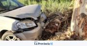Un ex intendente de Caucete chocó contra un árbol