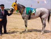 Paprika: La historia de un éxito nacido de un cruce casual en Haras Del Sur