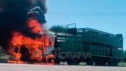 Impresionante video: camión de transporte de ganado se prendió fuego sobre Ruta 9