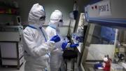 Alerta por la “supergripe” H3N2: Chile confirmó la variante y Argentina sigue de cerca posibles casos