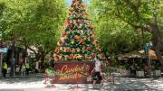 La Navidad en Mendoza se vive con árboles decorados, villancicos, la “Misa Criolla” y muchas ferias de regalos