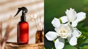 Cómo hacer el perfume casero más delicioso para tu hogar