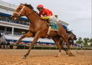 Protagonista sorpresa: El ejemplar que venció a Sovereignty compite este viernes en Gulfstream Park
