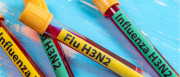 Alerta sanitaria: detectan los primeros casos de Influenza A(H3N2) Subclado K en Argentina