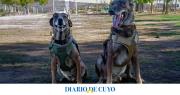 Emotiva despedida en el Servicio Penitenciario: los perros Ankara y Atlas pasaron a retiro tras años de labor