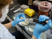 Confirman que la supergripe H3N2 llegó a la Argentina: hay dos adolescentes y un niño infectados