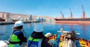 Trabajo en los principales puertos de Chile: Ultramar abre nuevas vacantes laborales