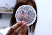 La UNLP trabaja en una solución microscópica para la contaminación de Vaca Muerta