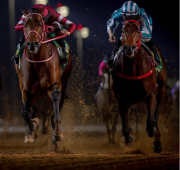 La Saudi Cup 2026 se queda sin su duelo soñado: Romantic Warrior pone rumbo a la Triple Corona de Hong Kong